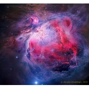 M42