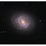 M58