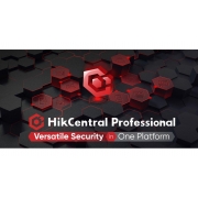 HikCentral-E-Industrial-Service
