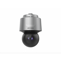 IP-камера HIKVISION DS-2DF6A425X-AEL(T3)