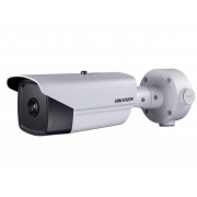 Камера HIKVISION DS-2TD2136-25/V1