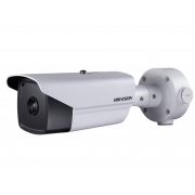 DS-2TD2136-35 Тепловизионная IP-камера