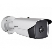 Камера HIKVISION DS-2TD2137-7/V1
