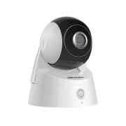 IP-камера HIKVISION DS-N291W